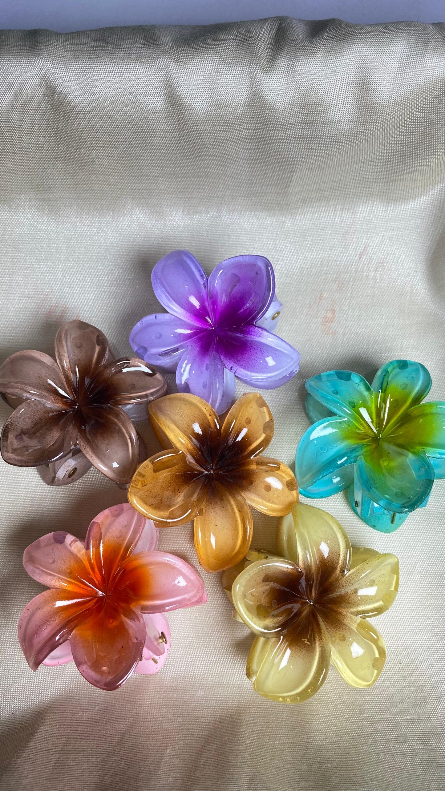Claw Clips Set