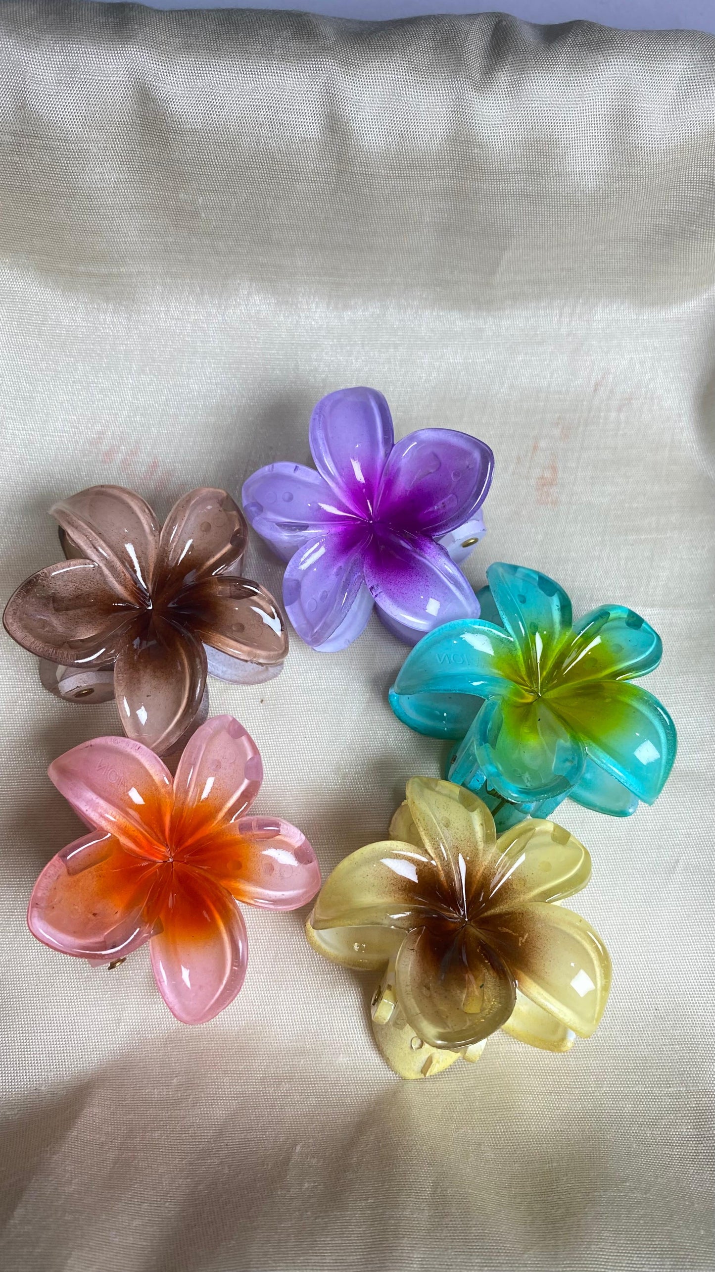 Claw Clips set