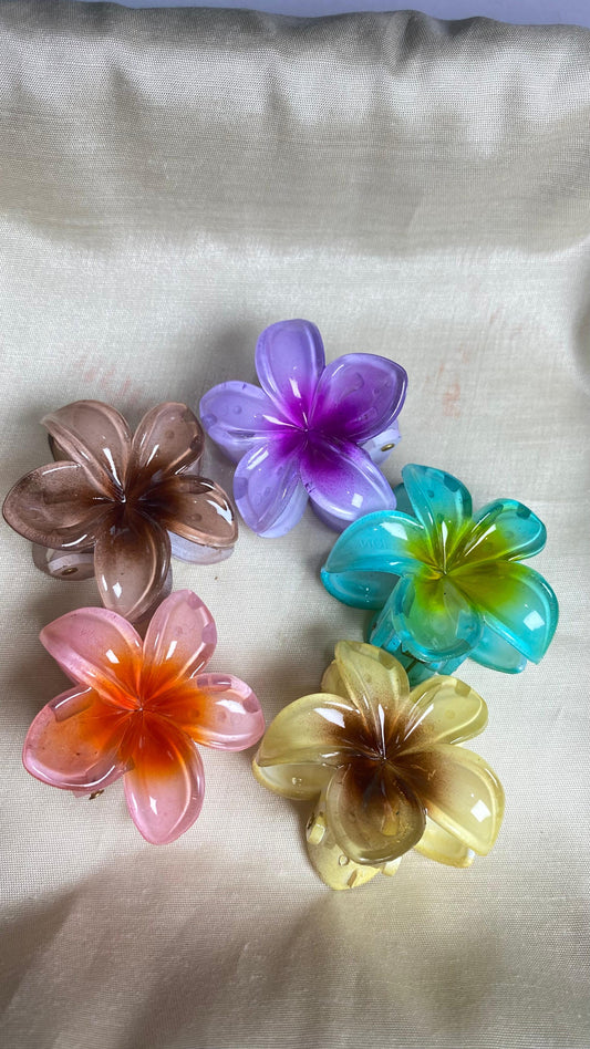 Claw Clips set
