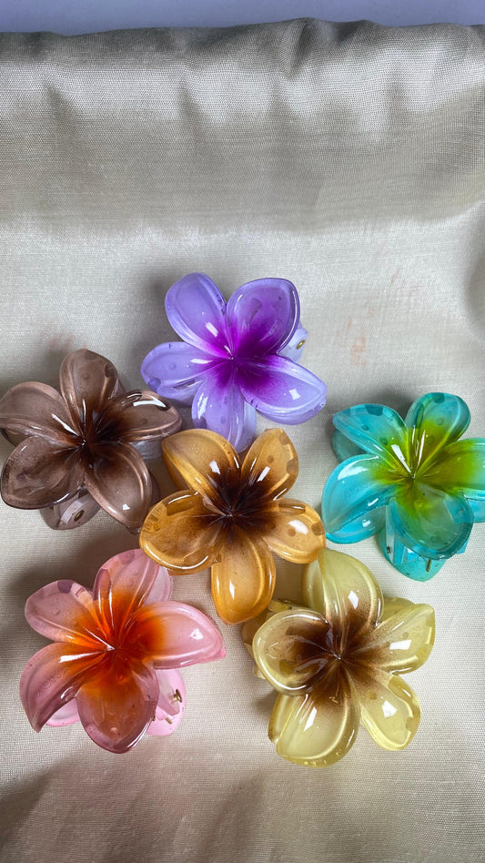 Claw Clips Set