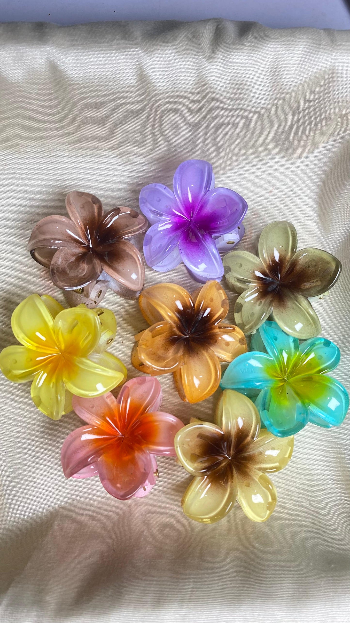 Claw clips set