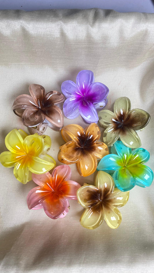 Claw clips set