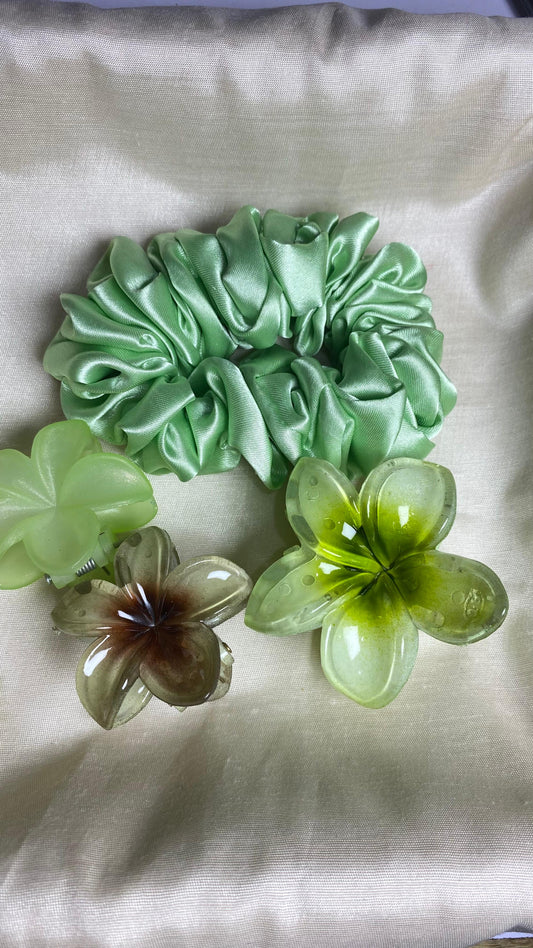 Claw Clips set