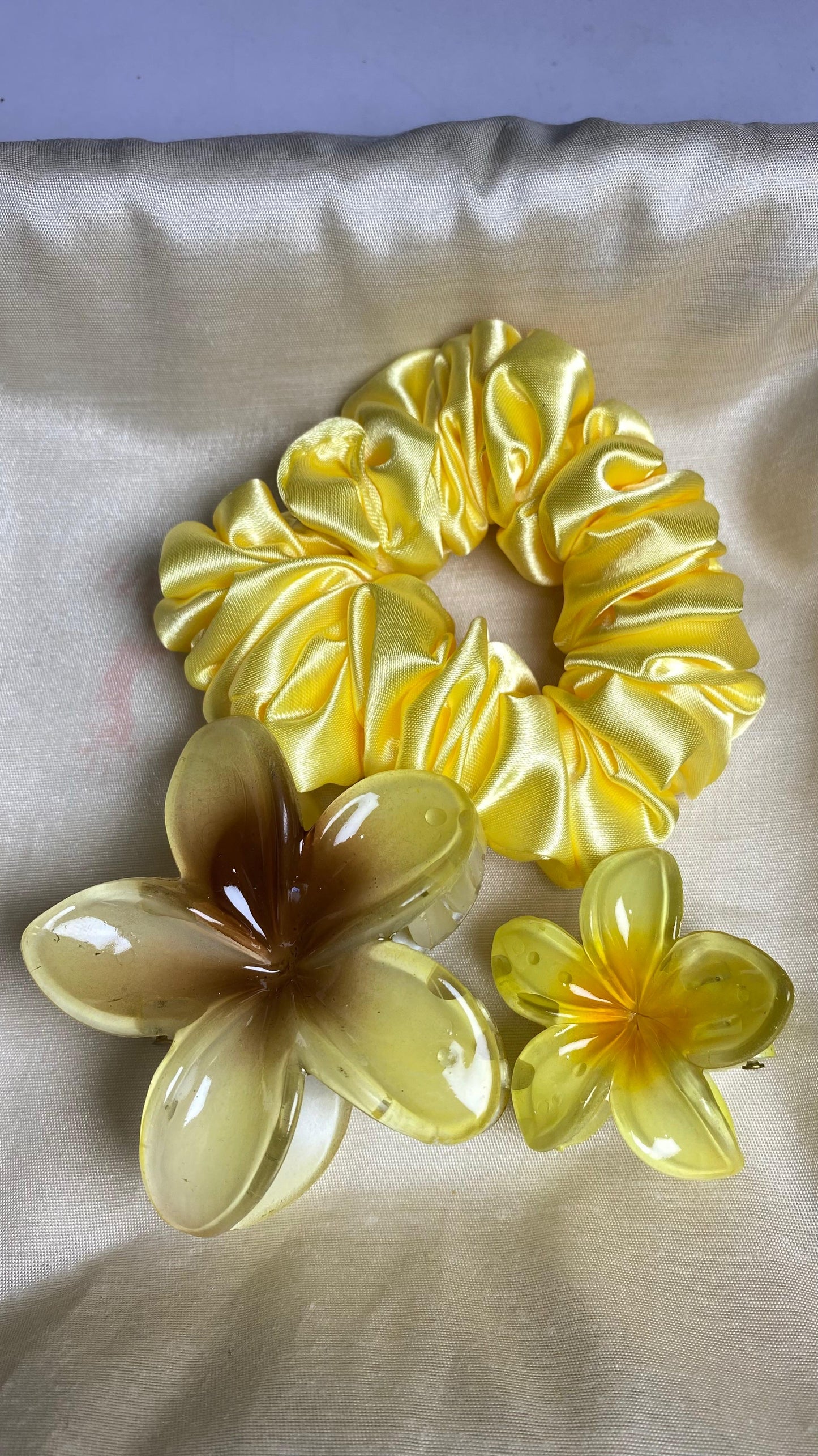 Claw Clips set
