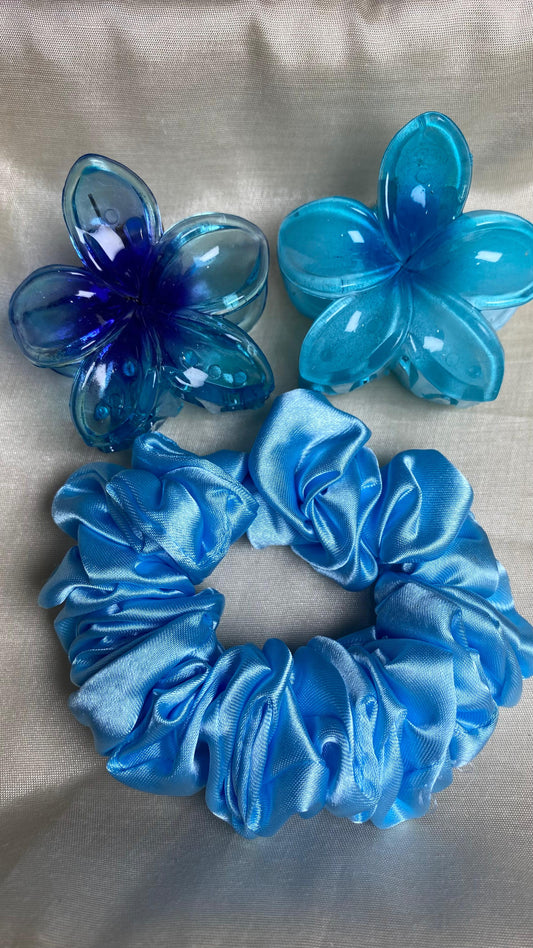 Claw Clips set