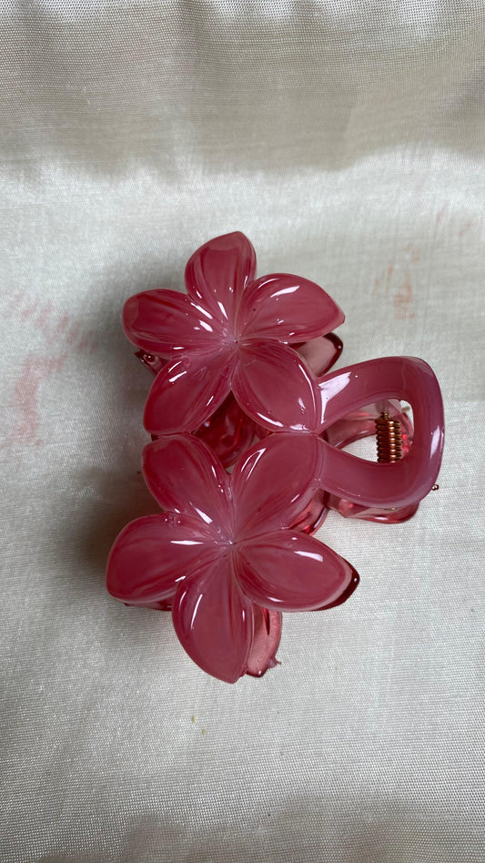 Pretty Claw Clips