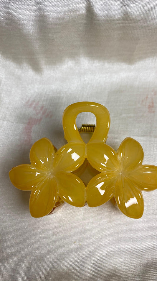 Pretty Claw Clips