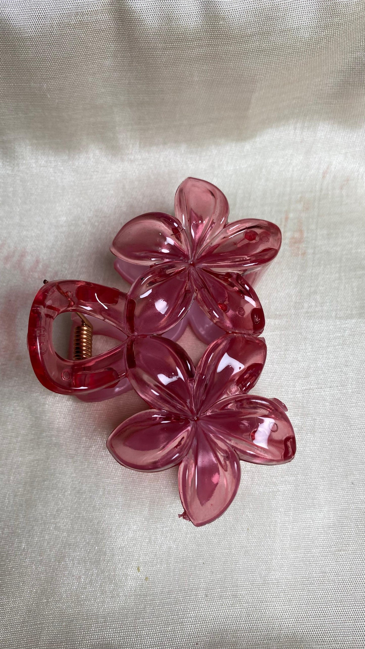 Pretty Claw Clips